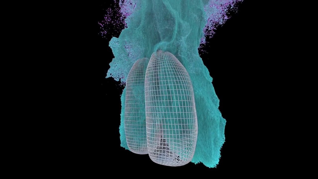人体肺部粒子动画视频下载