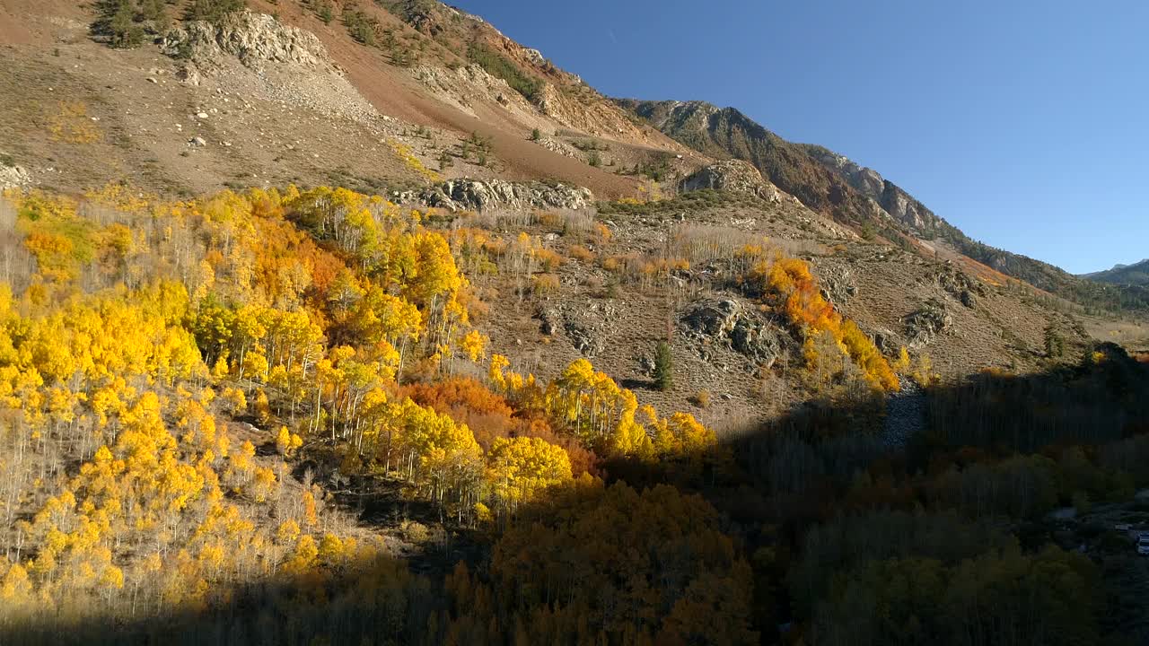 在阳光明媚的日子里，无人机在景观上向前飞行，从空中拍摄山上的树木-猛犸湖，加利福尼亚视频素材