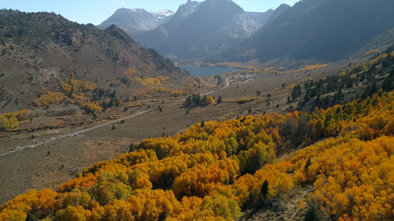 空中下降拍摄的风景山覆盖着黄色的树在阳光明媚的一天，无人机飞越景观-猛犸湖，加利福尼亚州视频素材