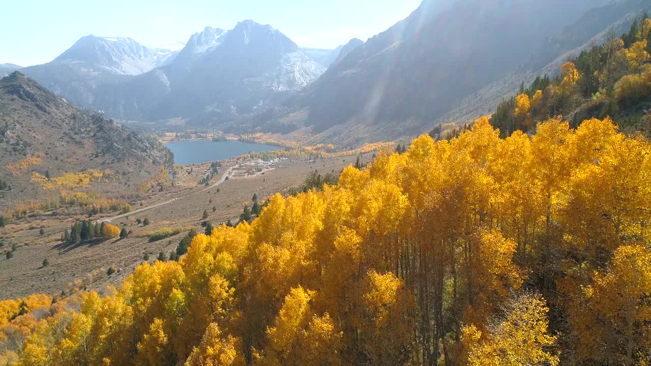 在阳光明媚的日子里，无人机在景观上空飞行，覆盖着黄色树木的山的空中倾斜向下拍摄-猛犸湖，加利福尼亚视频素材