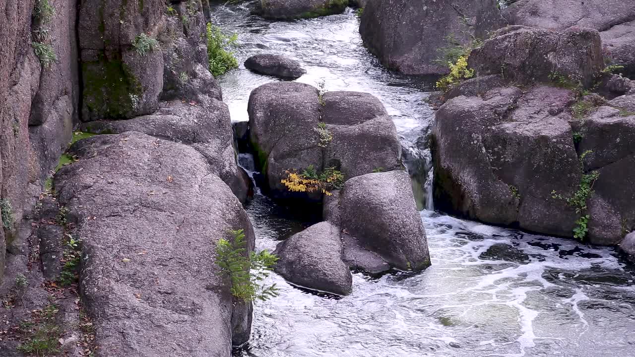 这条河在花岗岩和巨石之间流动。花岗岩峡谷。Cherkassy地区。乌克兰。视频素材