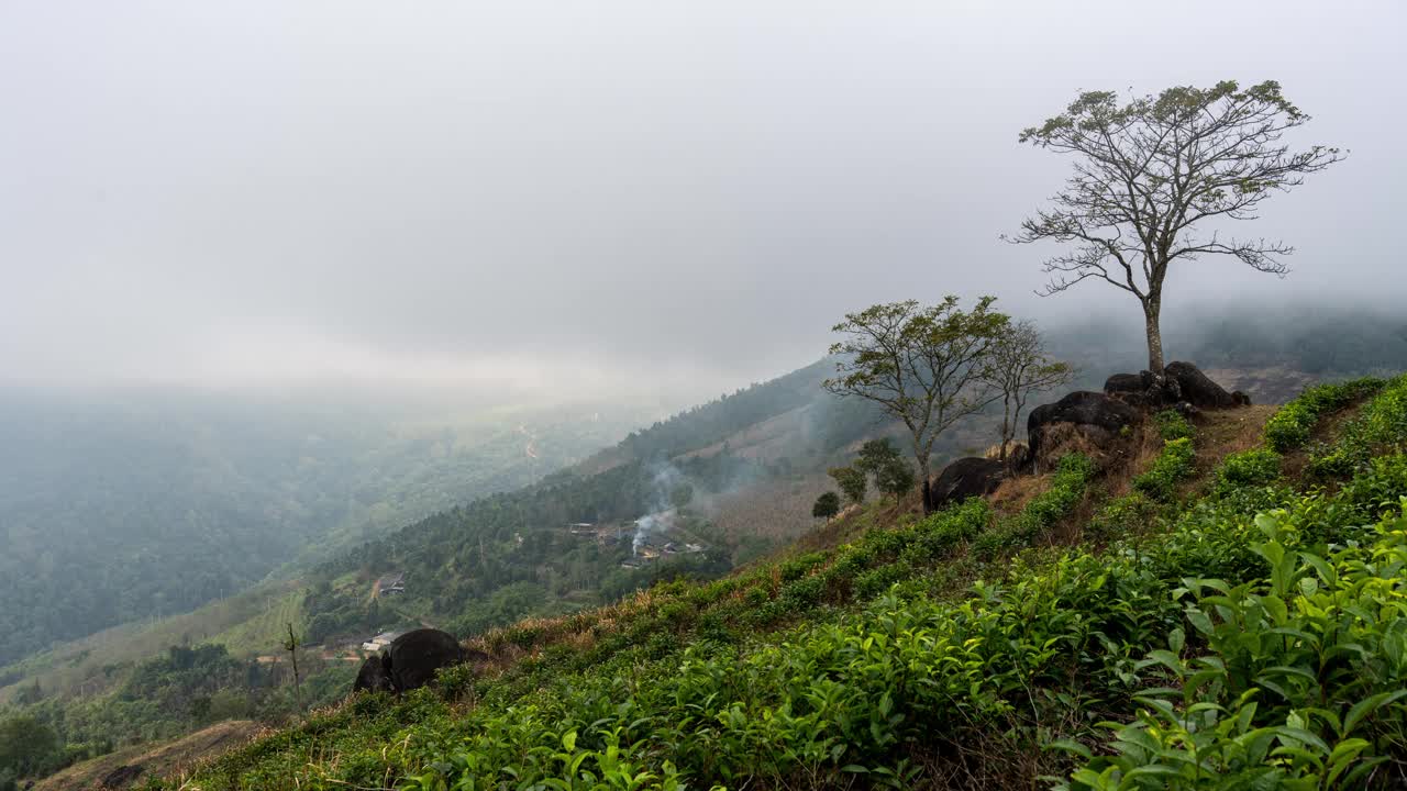 山顶上散乱的云雾景象视频素材