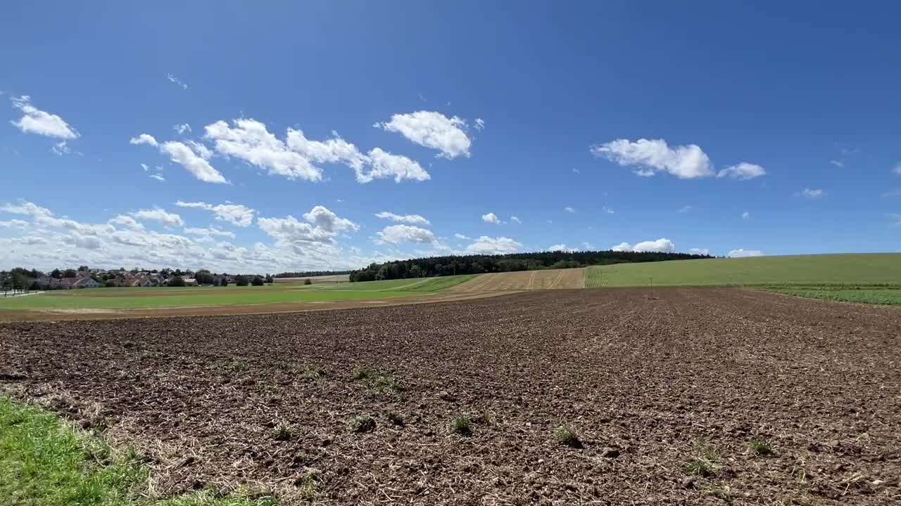 夏天金色的麦田视频素材