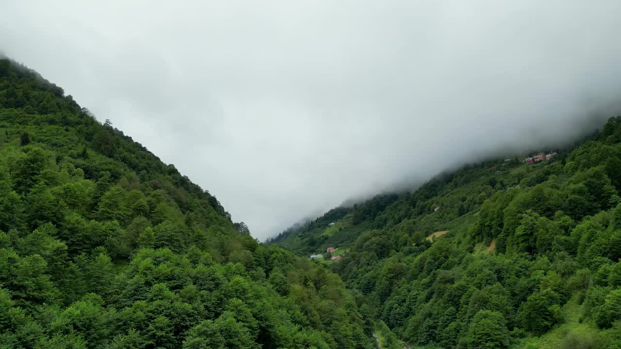 雾中的森林鸟瞰图。山区的阴雨天气。雾气吹过森林。Giresun、土耳其视频素材