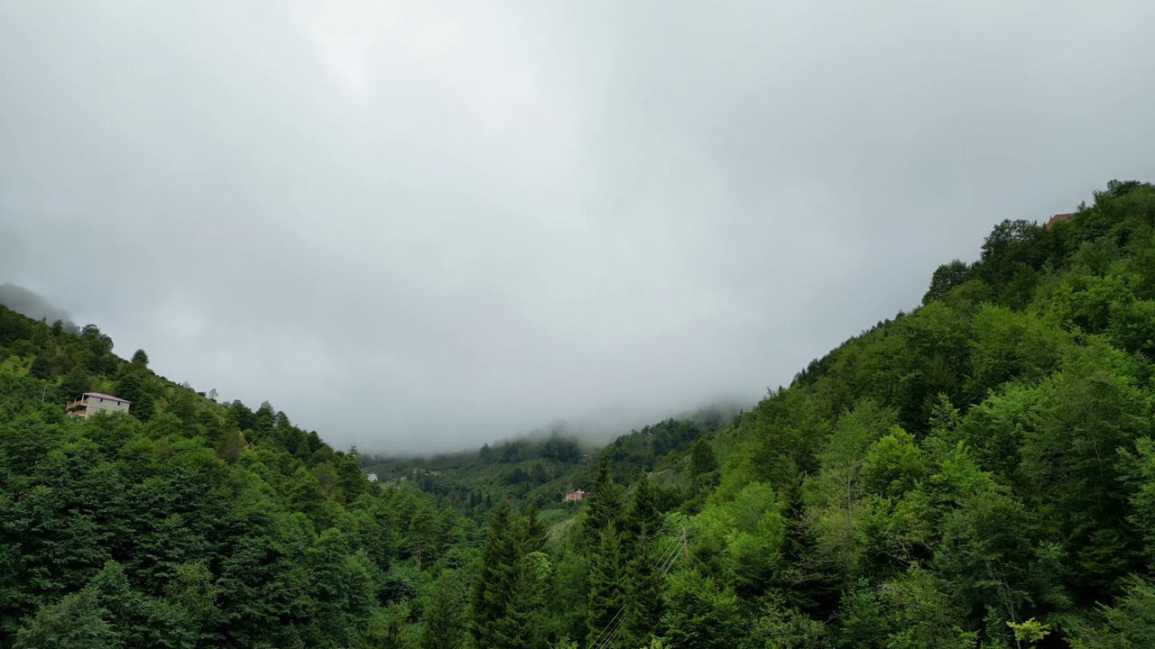 雾中的森林鸟瞰图。山区的阴雨天气。雾气吹过森林。Giresun、土耳其视频素材