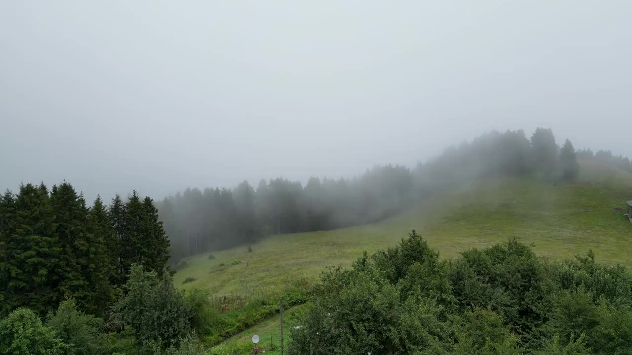 雾中的森林鸟瞰图。山区的阴雨天气。雾气吹过森林。祝你好运视频素材