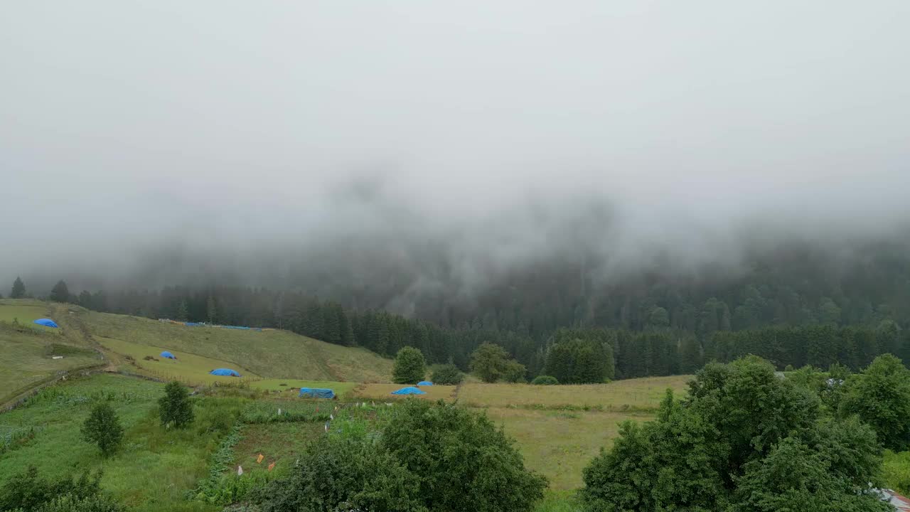 雾中的森林鸟瞰图。山区的阴雨天气。雾气吹过森林。祝你好运视频素材