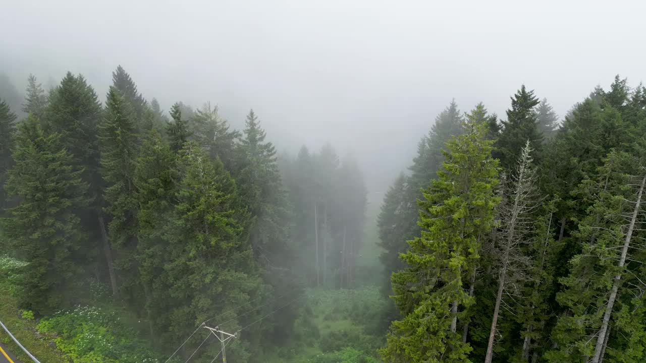 雾中的森林鸟瞰图。山区的阴雨天气。雾气吹过森林。祝你好运视频素材