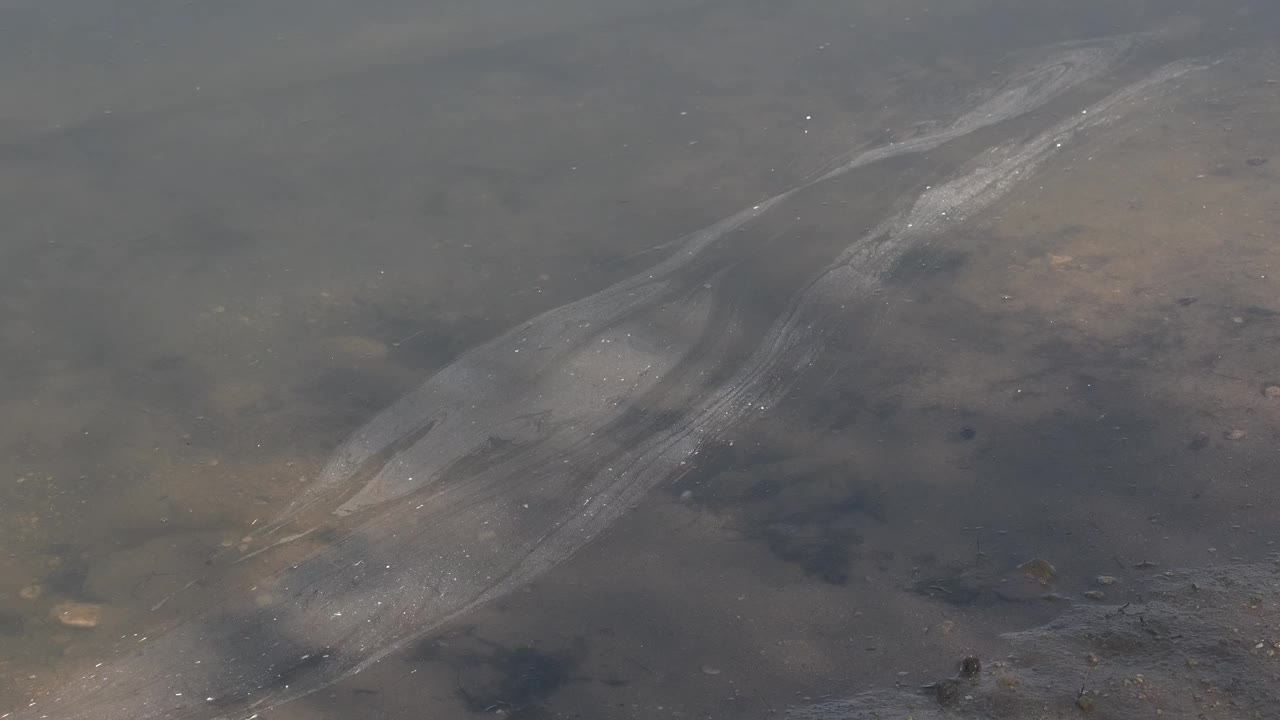 水库岸边受干旱影响的污水。视频素材