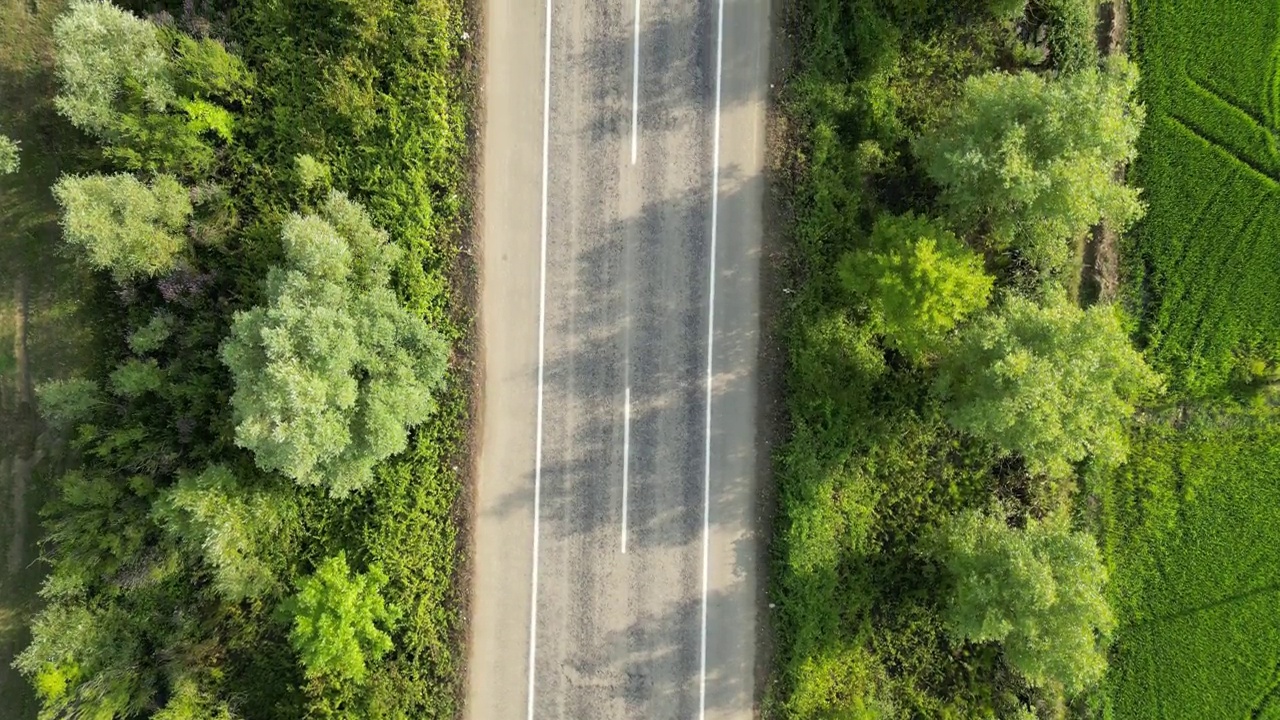 鸟瞰路。独自行走在茂密平坦的森林、柏油笔直空旷的道路上。高速公路俯视图跟随车辆航拍镜头。高速公路交通视频下载