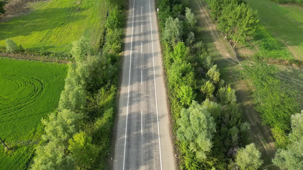 鸟瞰路。独自行走在茂密平坦的森林、柏油笔直空旷的道路上。高速公路俯视图跟随车辆航拍镜头。高速公路交通视频素材