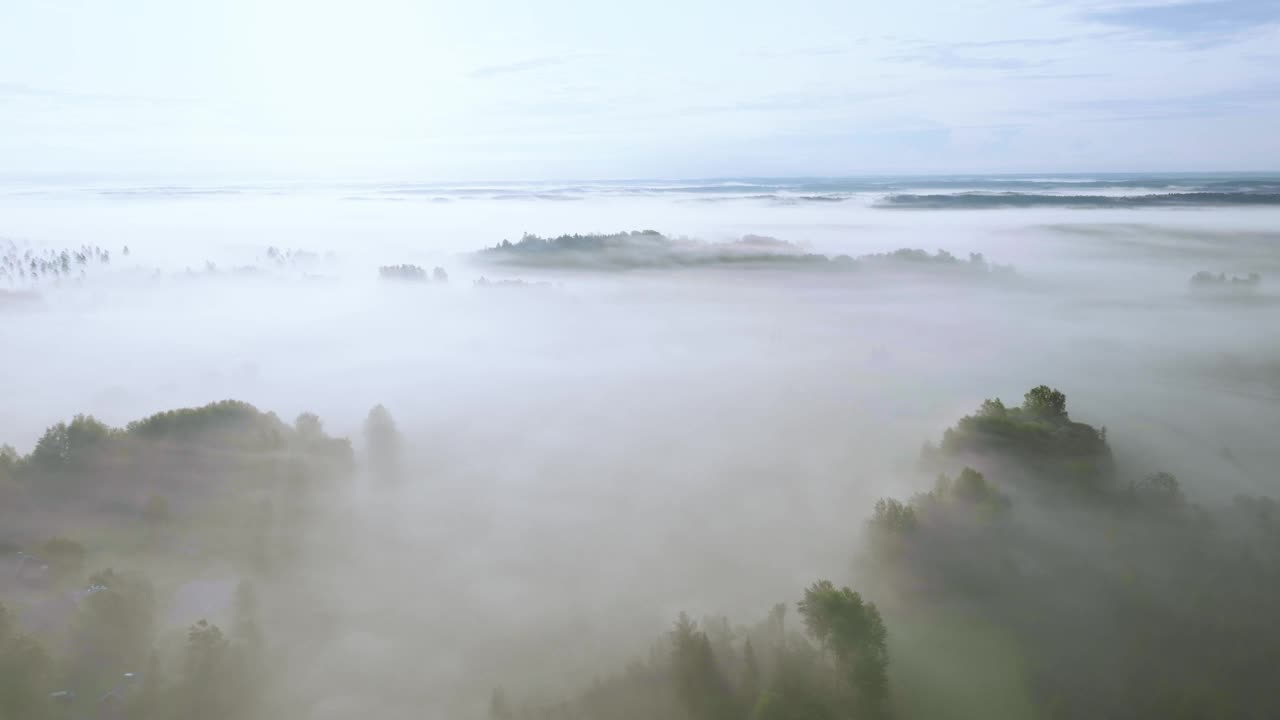 鸟瞰北欧森林和乡村田野，笼罩在晨雾中视频素材