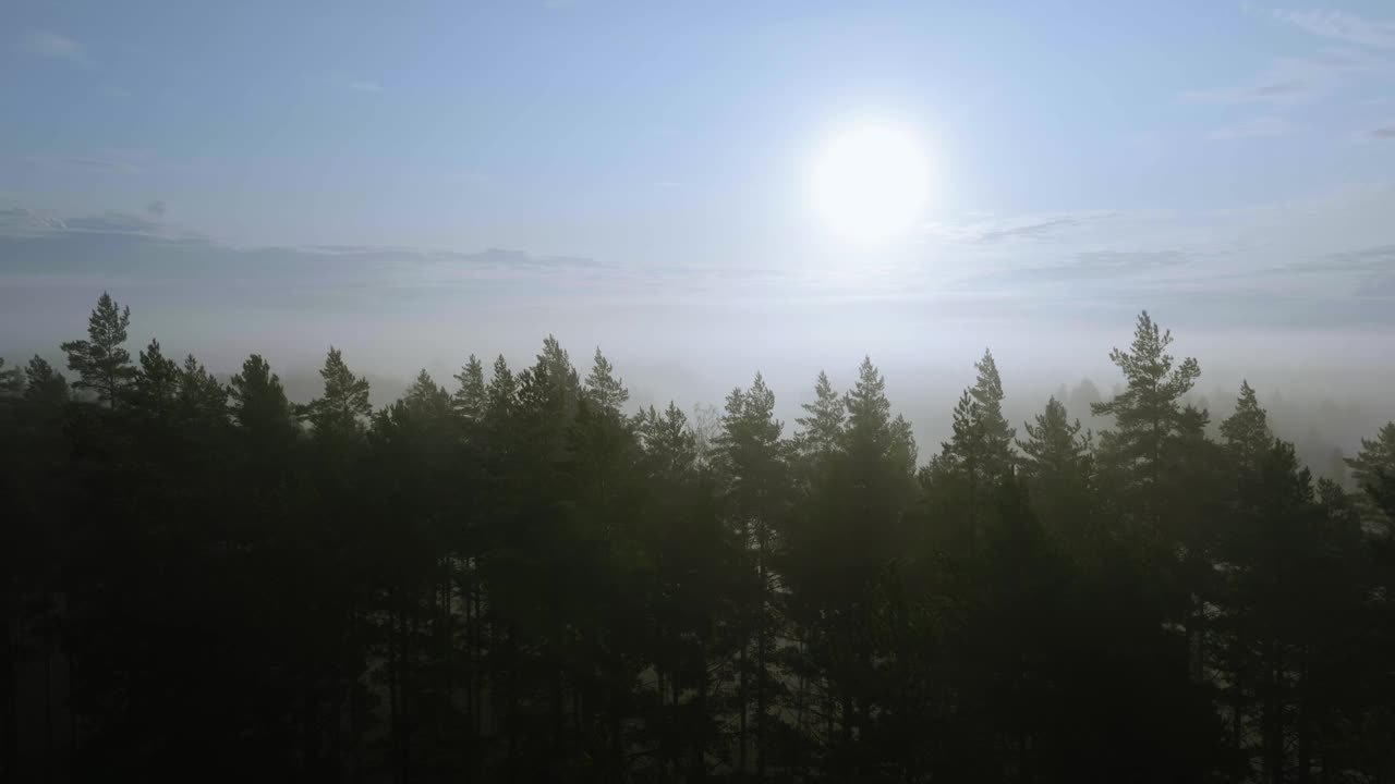 鸟瞰图雾蒙蒙的早晨森林与太阳为背景视频素材