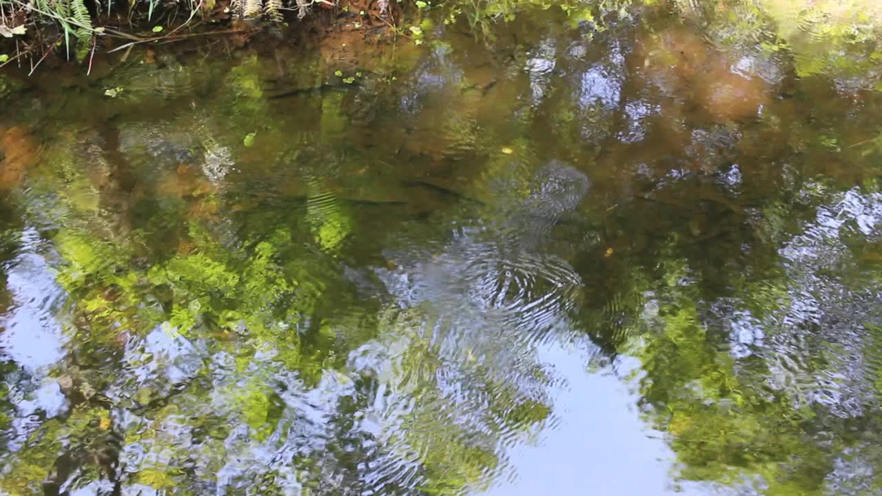 湖水映照出大自然的倒影视频素材