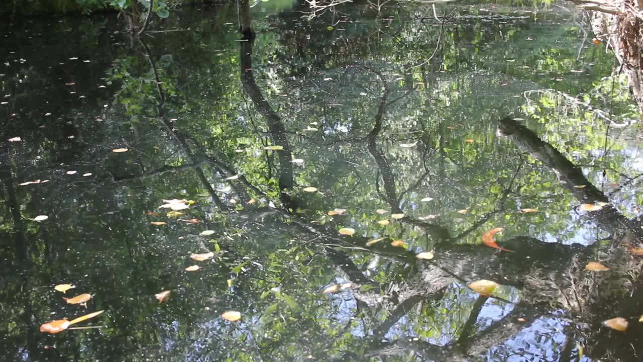 湖水映照出大自然的倒影视频素材