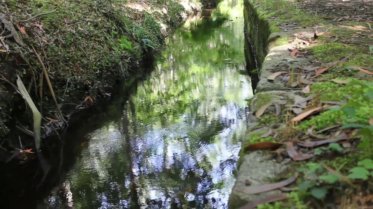 自然映照在水中视频素材