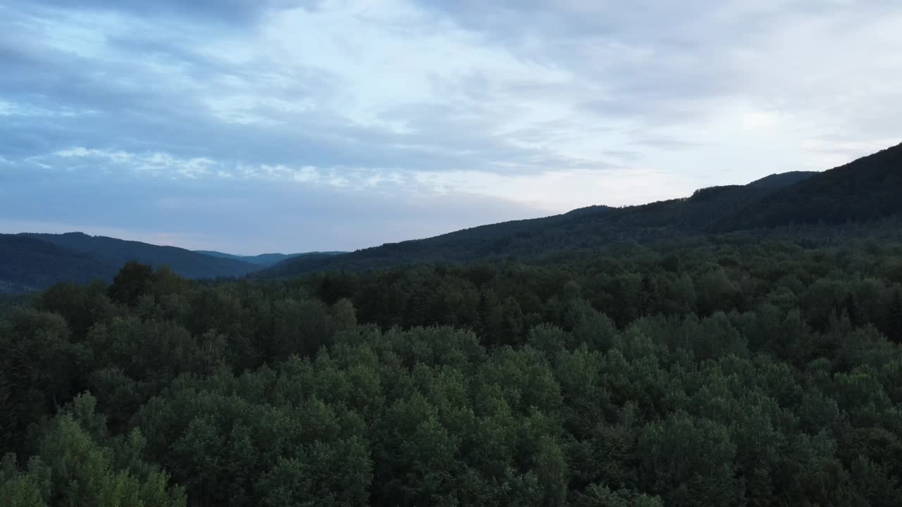 电影般的无人机拍摄的蓝色多云的天空和树木覆盖着狂野的山丘。山林景观在夜间空中飞行。绿色落叶和常绿乔木。户外健康生活方式视频素材