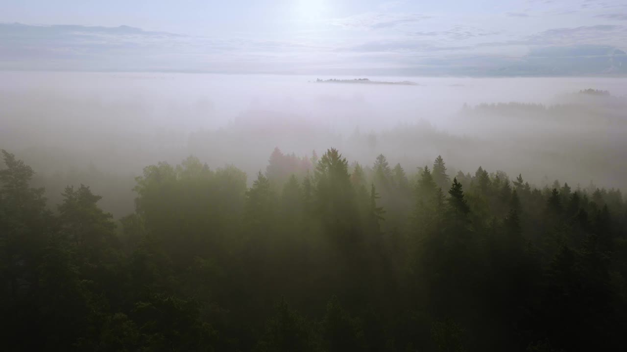 无人机在雾蒙蒙的树林上拍摄，斯堪的纳维亚乡村的日出视频素材