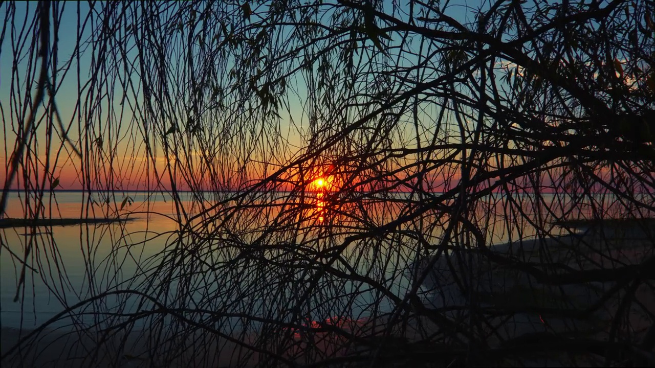 太阳透过悬挂着的树枝，在红色和黄色的夕阳中窥视视频素材