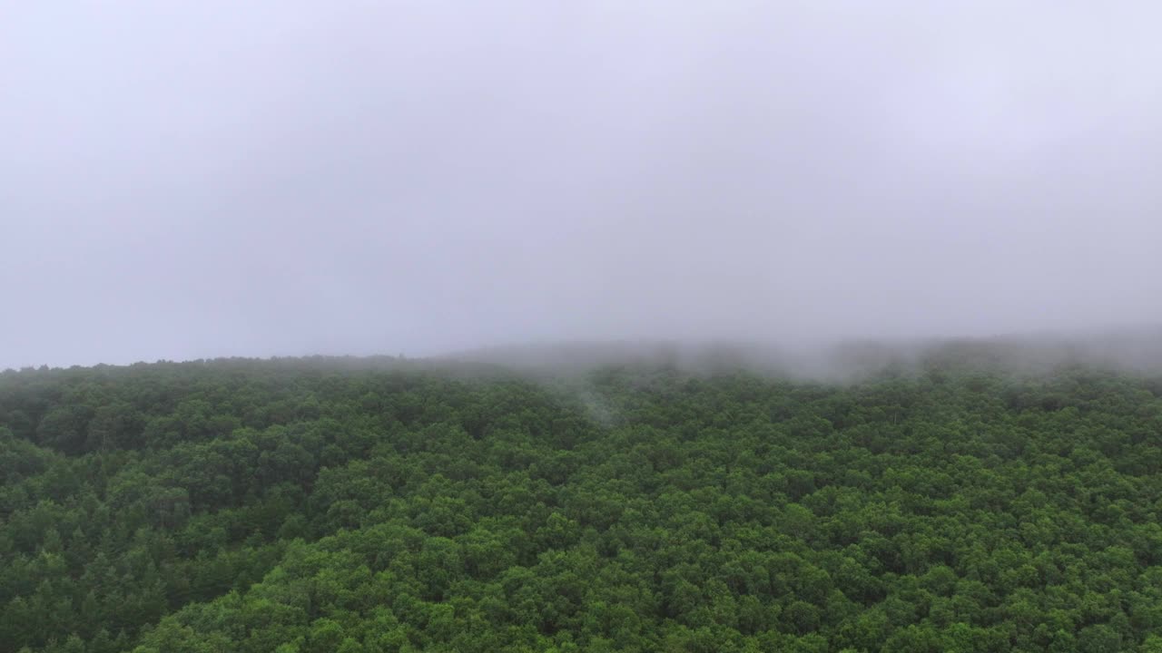 透过云雾鸟瞰夏日自然风光视频素材