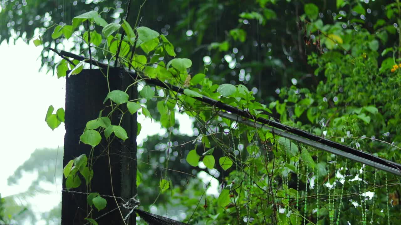 雨天简单的镜头剪辑视频素材