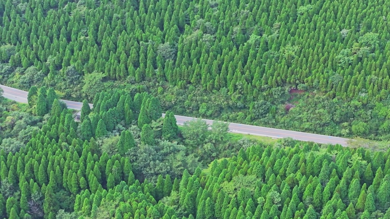 在日本熊本的麻生，麻生山的道路视频素材