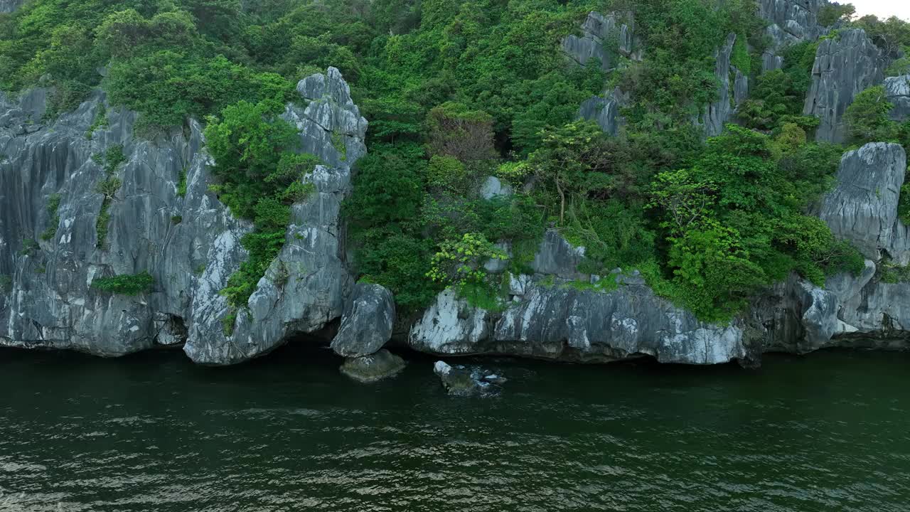 风景石灰岩山脉和杂草丛生的树木，恩赫岛，坚江省视频素材