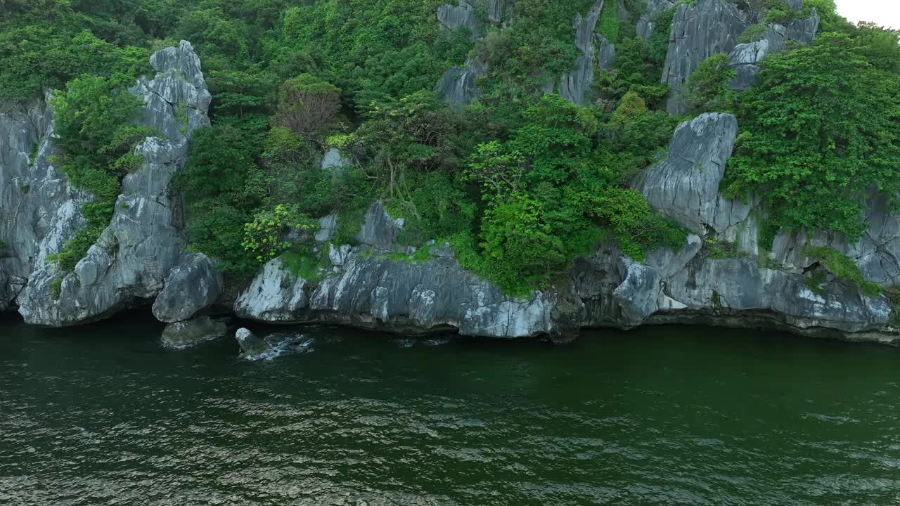 风景石灰岩山脉和杂草丛生的树木，恩赫岛，坚江省视频素材