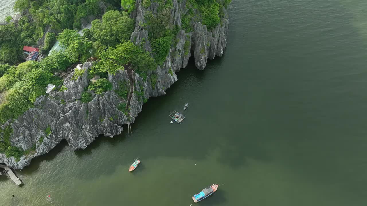 风景石灰岩山脉和杂草丛生的树木，恩赫岛，坚江省视频素材