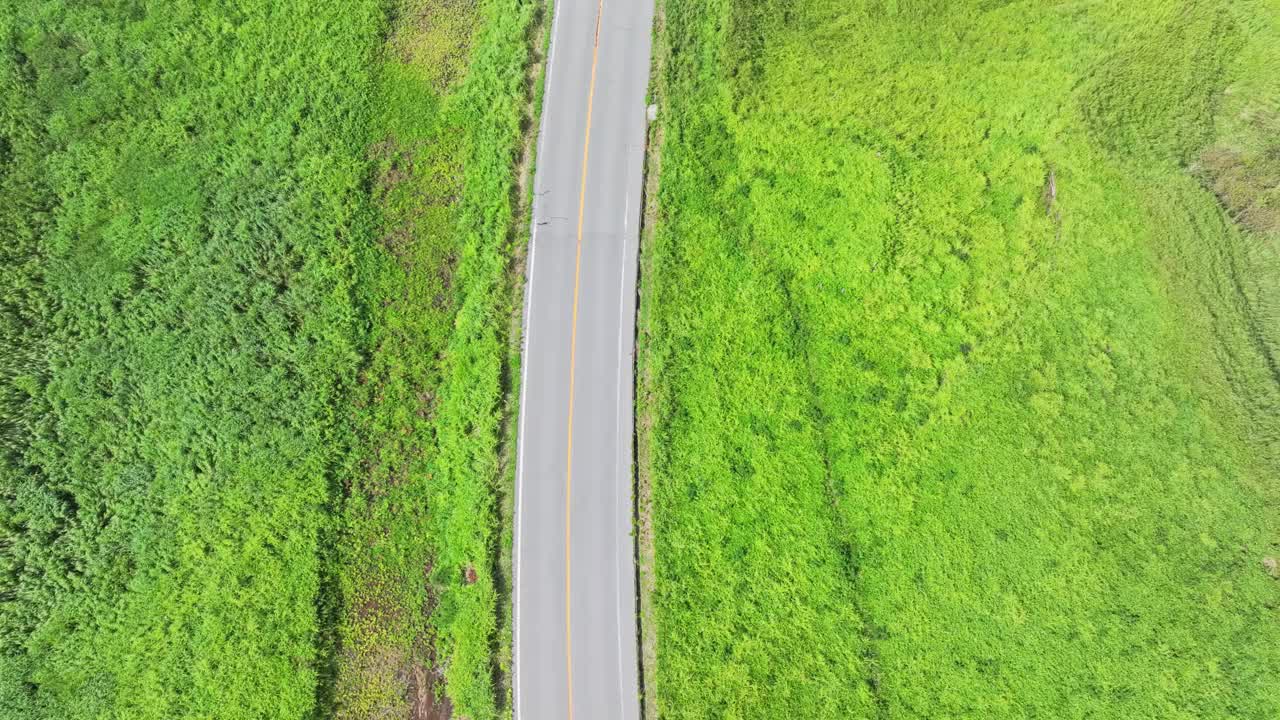 在日本熊本的麻生，麻生山的道路视频素材