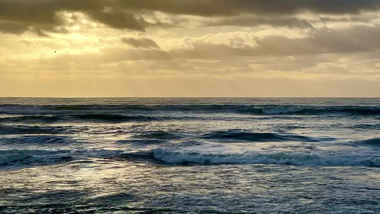 南太平洋的海浪，新西兰视频下载