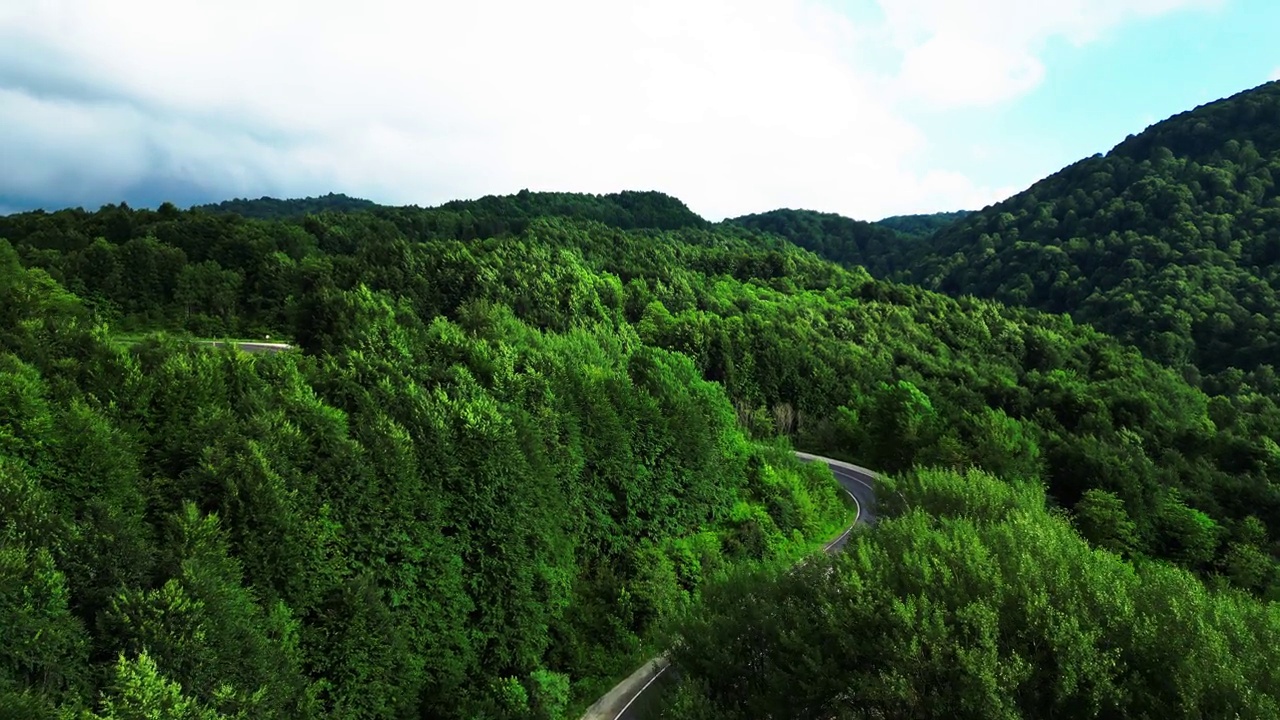 弯弯曲曲的道路蜿蜒穿过茂密的绿色森林。视频素材