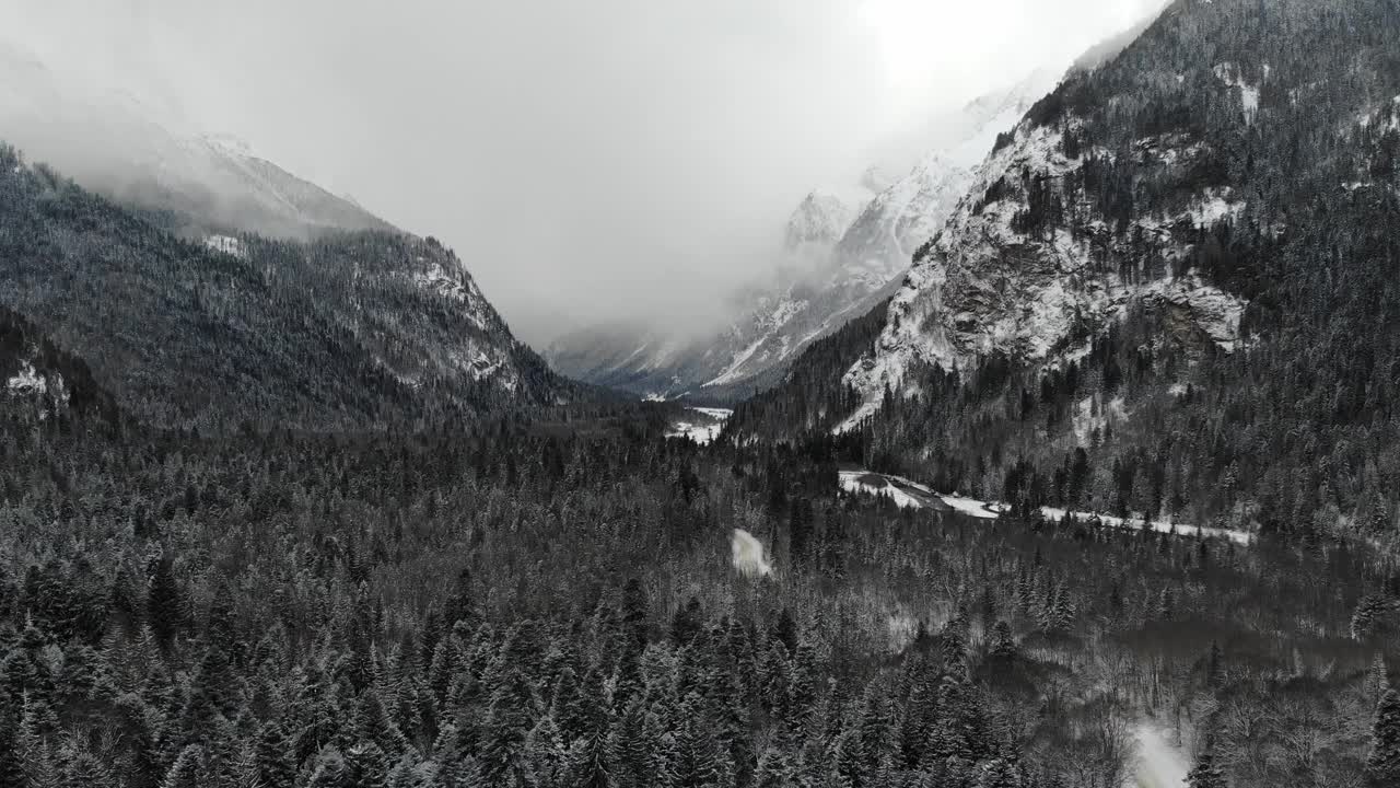 冬季森林低云针叶林景观鸟瞰图树木背景旅游宁静的景观与雪覆盖的树木山谷。低空无人机视频素材