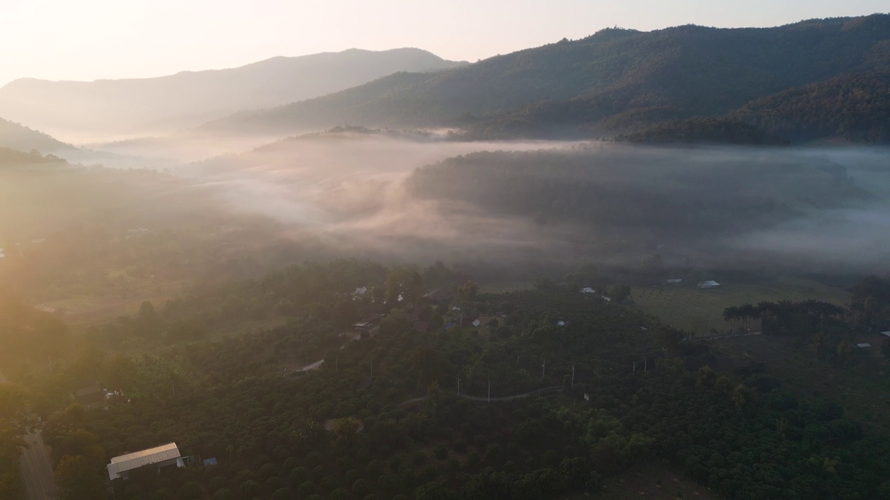 空中拍摄的清晨森林和薄雾视频素材