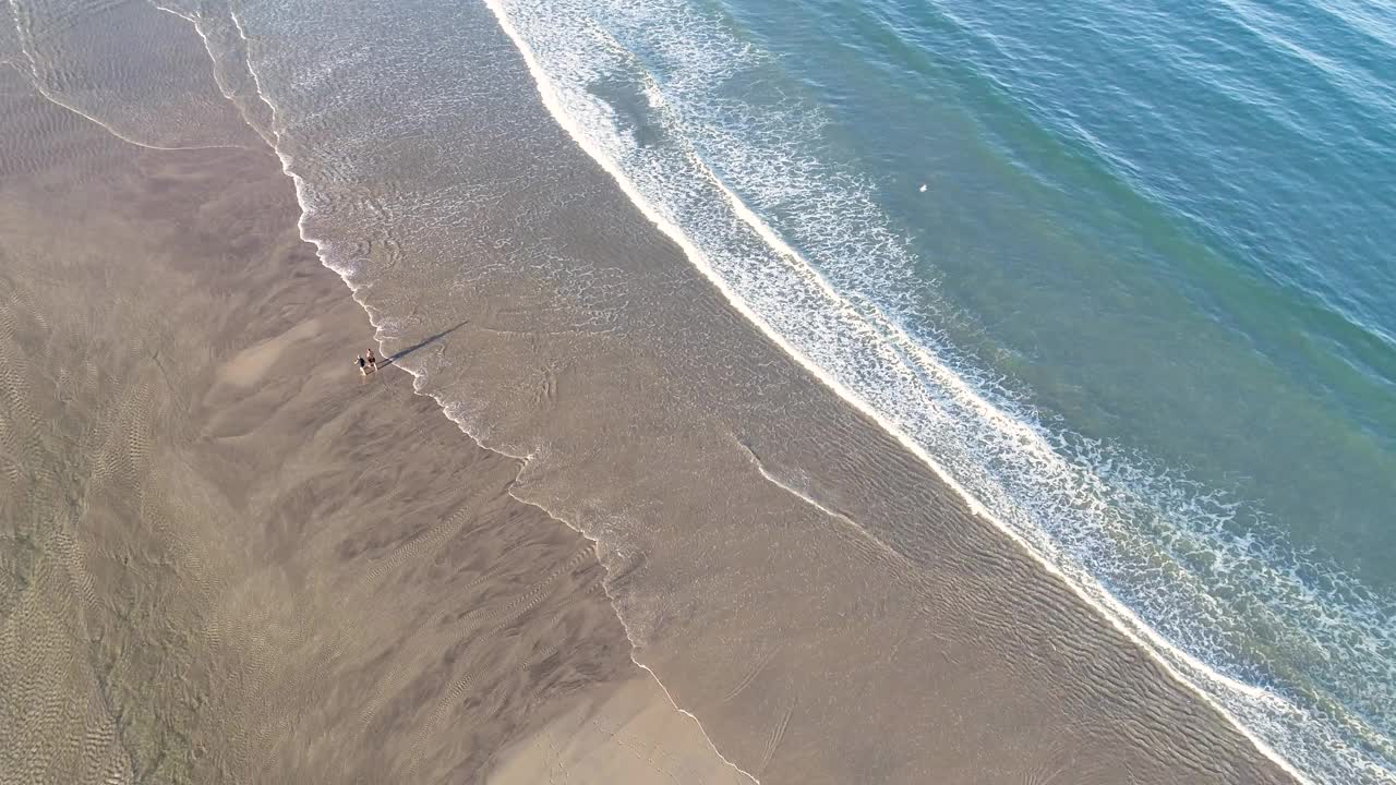 无人机拍摄的两个人在海滩上走在海浪附近视频素材