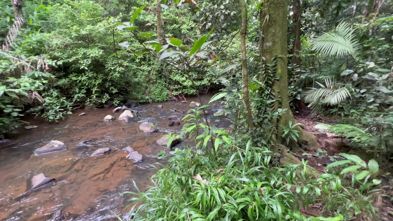 澳大利亚昆士兰州阿瑟顿高地的水溪视频素材