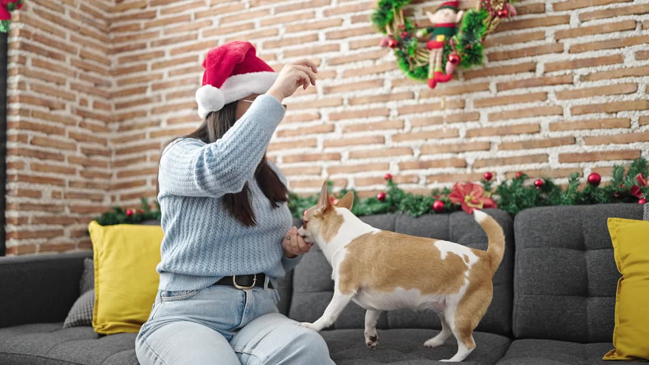 年轻的西班牙妇女带着吉娃娃狗在家里玩，戴着圣诞帽视频素材