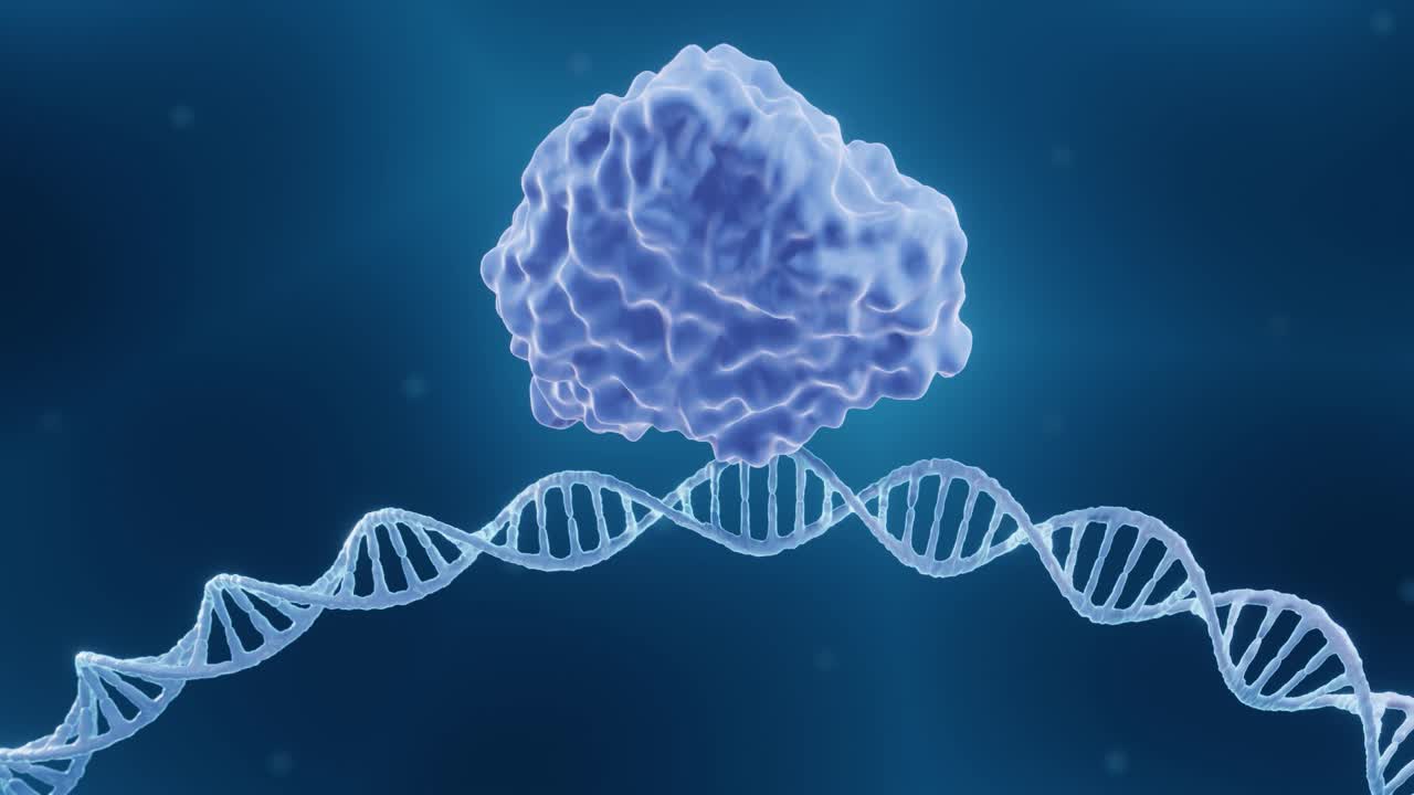 CRISPR-Cas9、动画视频素材