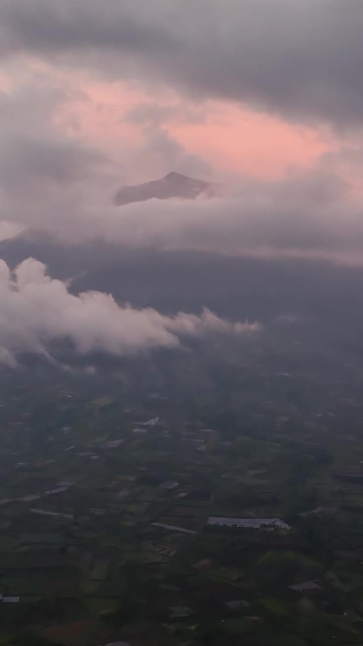 茶园和克里奇山。印度尼西亚苏门答腊。视频素材