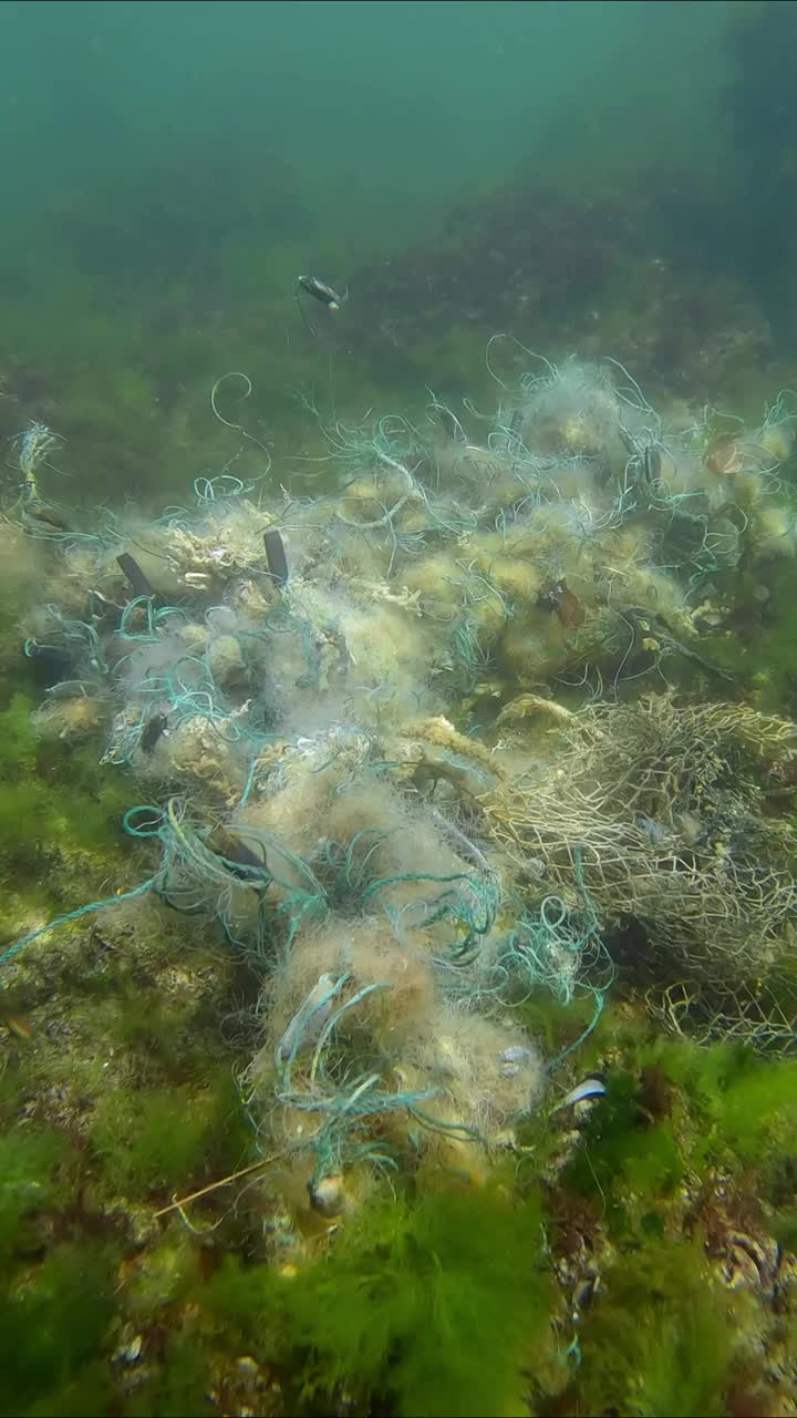 丢失的渔网躺在黑海浅水区绿藻Ulva的海底视频素材