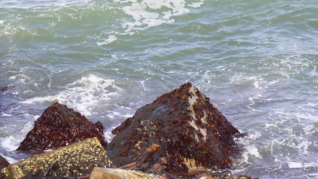 海滩上的防波堤能破浪，三脚架能破浪视频素材