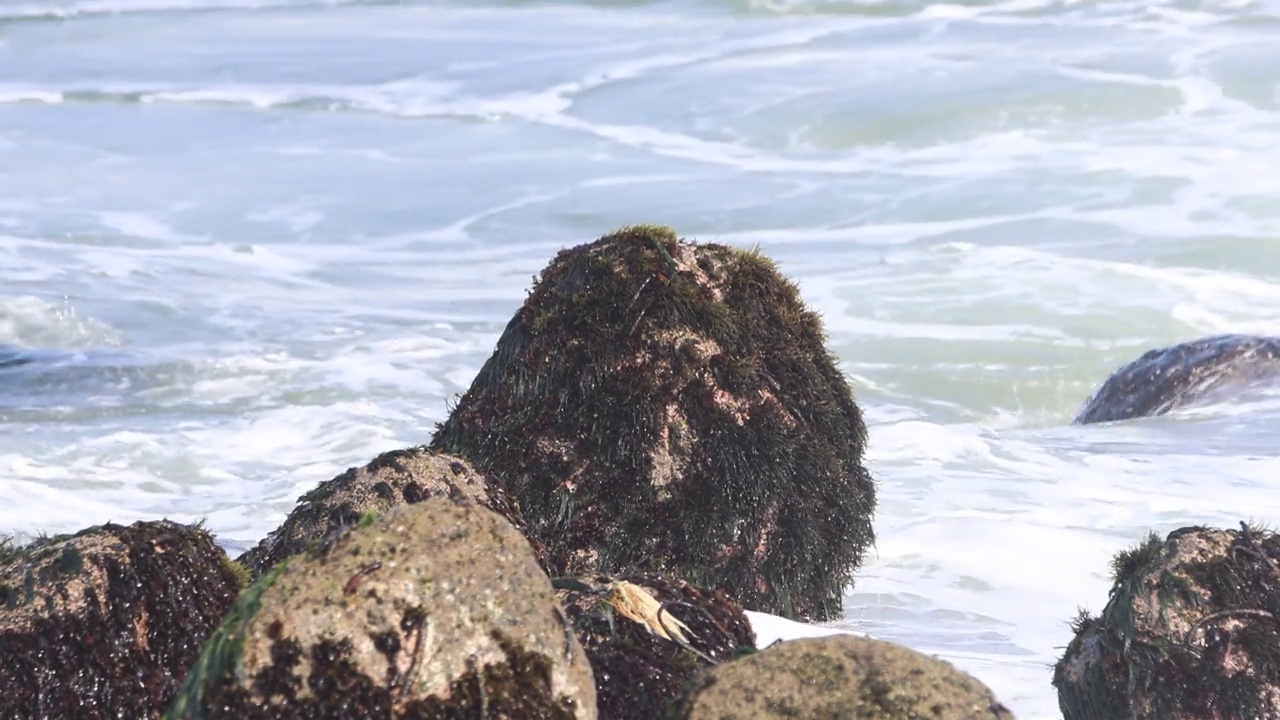 海滩上的防波堤能破浪，三脚架能破浪视频下载