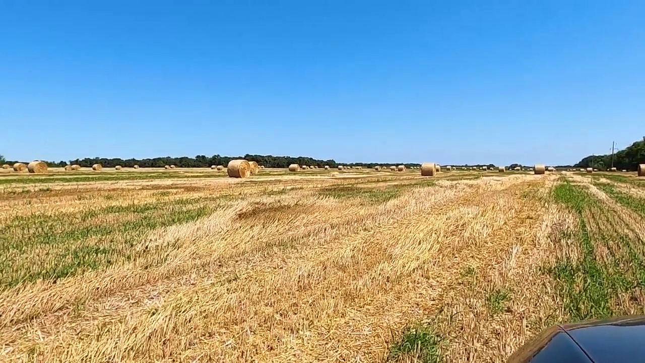 在天空的背景下，田野上卷起了一捆捆稻草视频素材