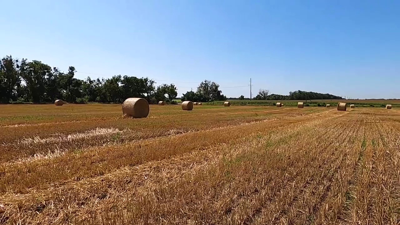 在天空的背景下，田野上卷起了一捆捆稻草视频素材