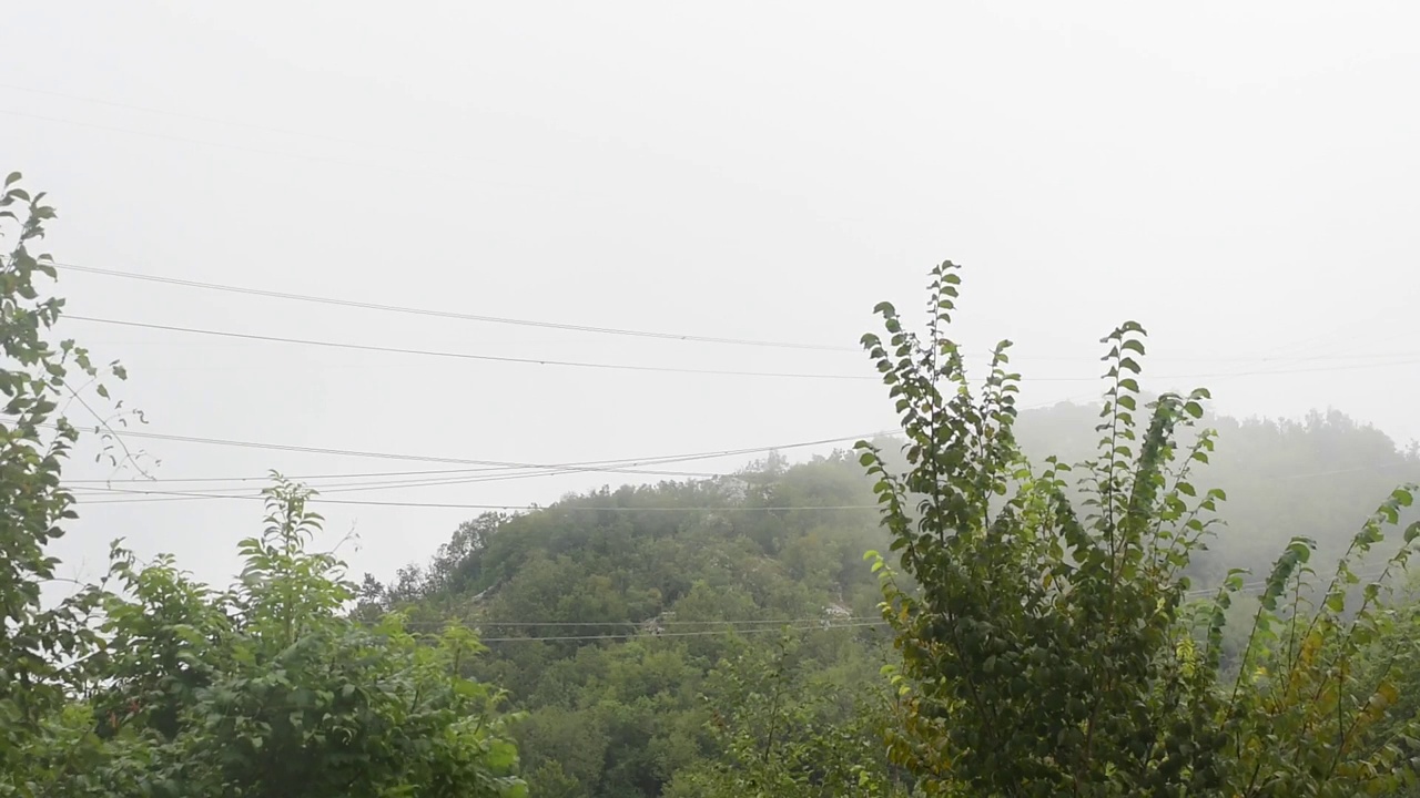 雾气弥漫的山林里。宁静的场景,视频素材