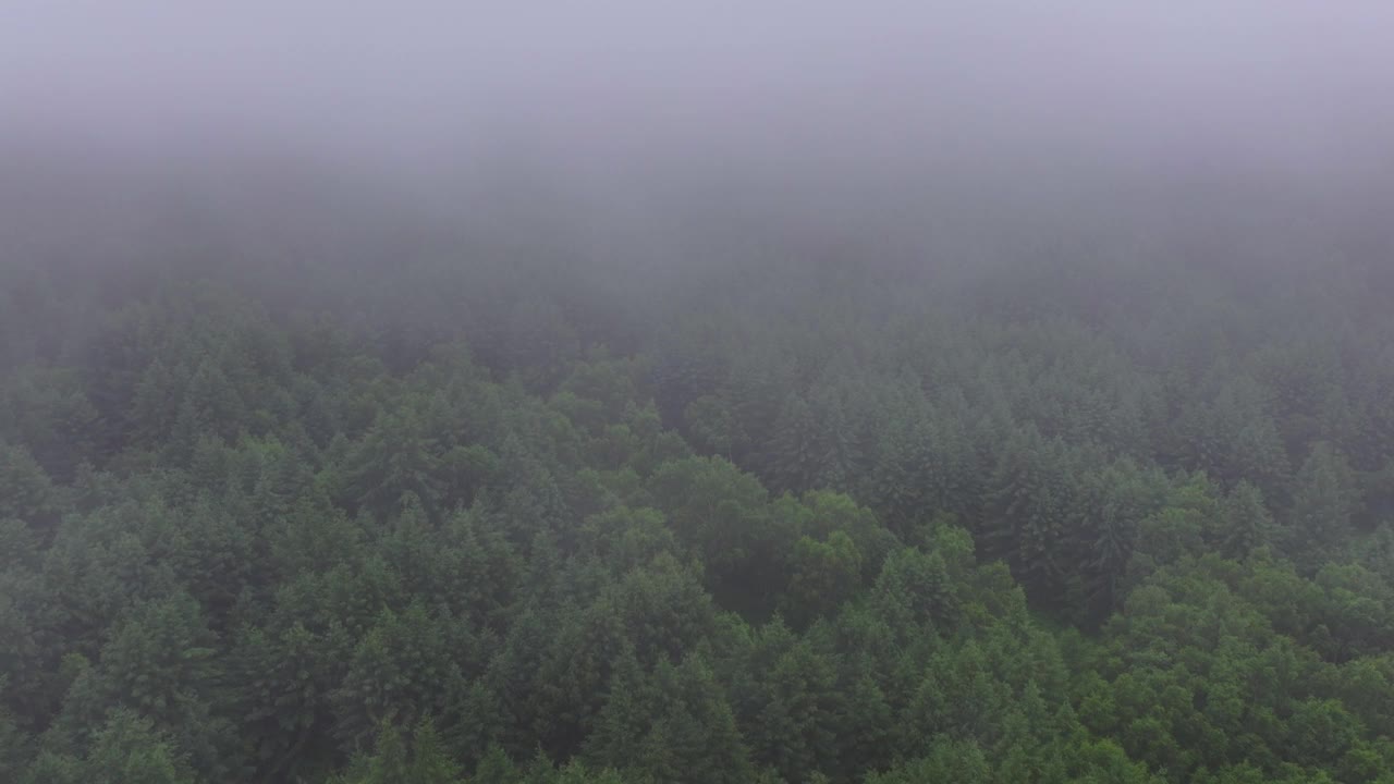 透过云雾鸟瞰夏日自然风光视频素材