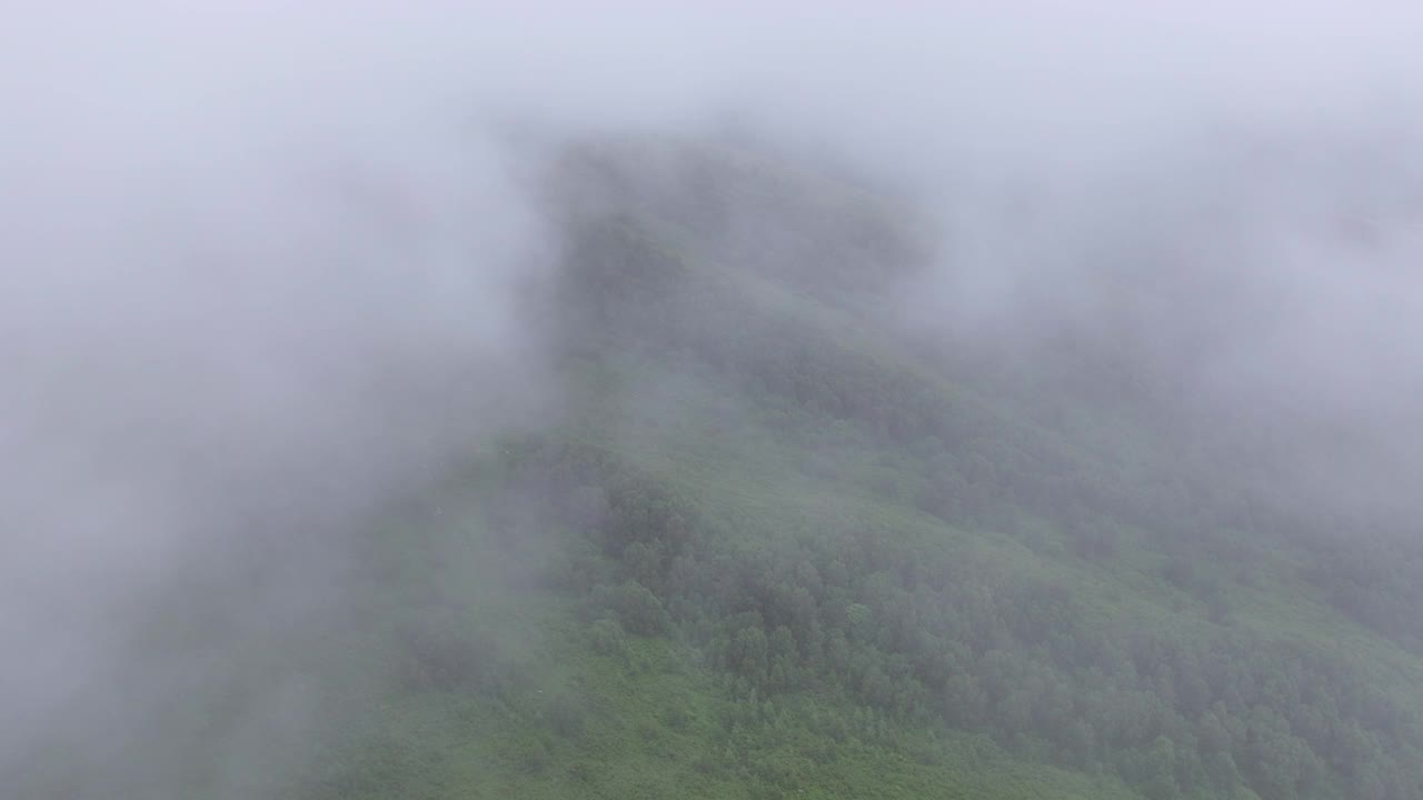 透过云雾鸟瞰夏日自然风光视频素材