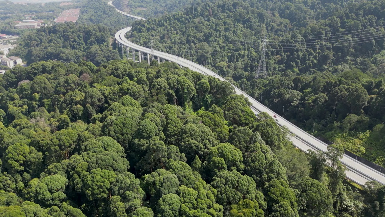 公路鸟瞰图穿过绿色的森林在山上视频素材