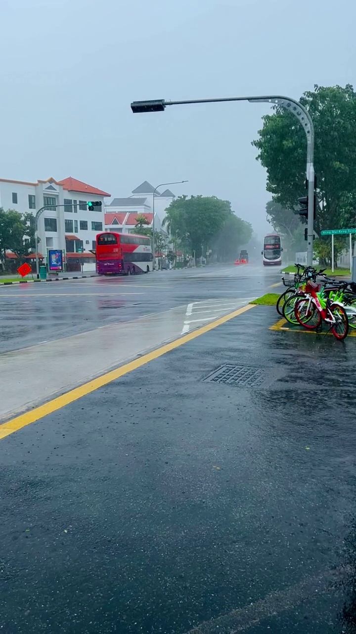 城里下大雨视频素材