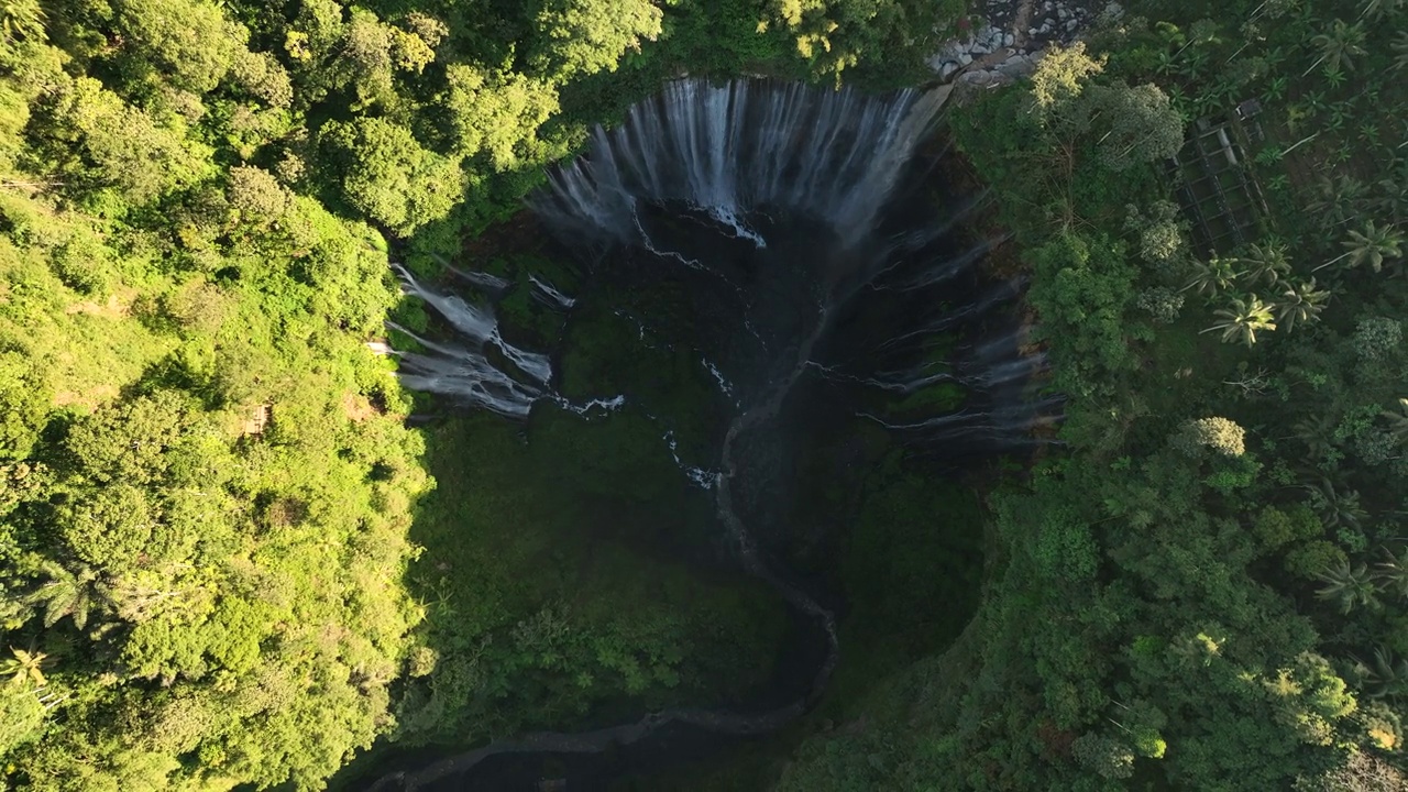 风景秀丽的鸟瞰图日出的图姆帕克塞乌瀑布与塞默鲁火山背景丛林在爪哇岛，印度尼西亚视频素材